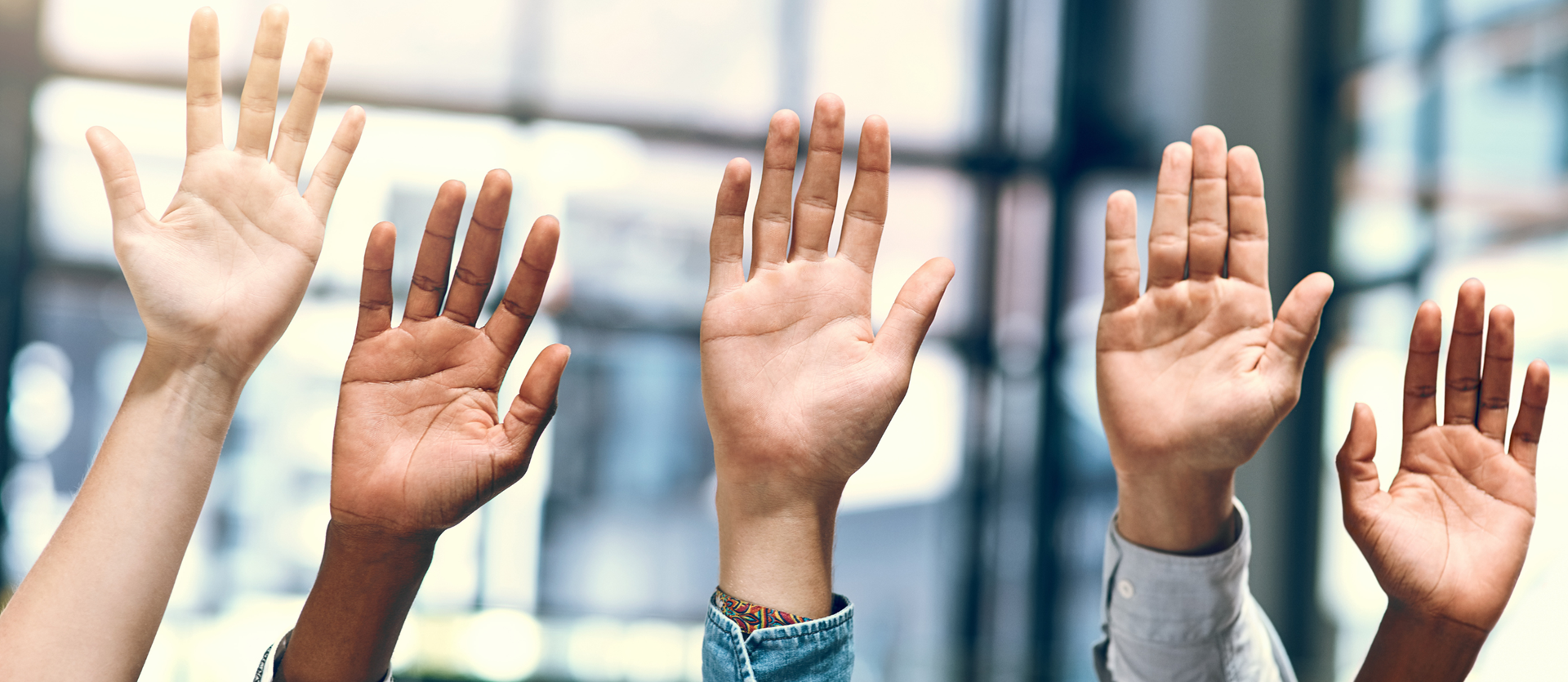 Dilek Çelebi Çelik